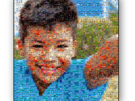 Photo Mosaic Metal Print Online Sale